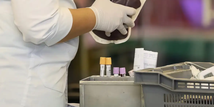 STF reconhece direito de testemunhas de Jeová em recusar transfusão de sangue