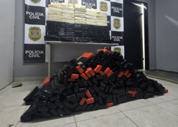 Dise encontra mais de meia tonelada de drogas em carga de carnes em Campinas