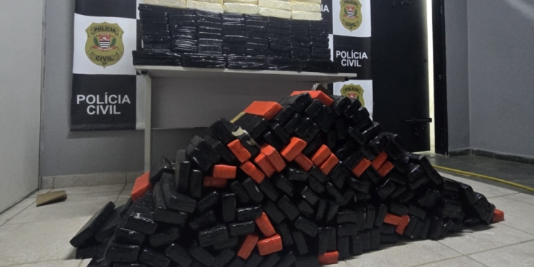 Dise encontra mais de meia tonelada de drogas em carga de carnes em Campinas