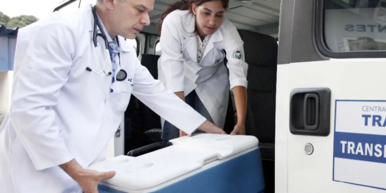 Infecção por HIV em seis transplantados é investigada no Rio