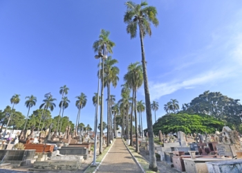 Finados deve levar mais de 120 mil visitantes aos cemitérios de Campinas