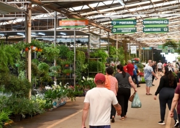 Mercado de Flores da Ceasa funcionará neste feriado