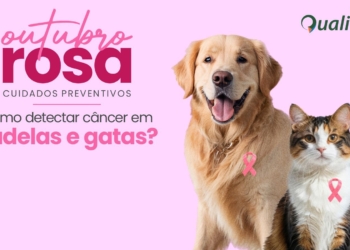 Outubro Rosa Pet: cuidado e prevenção com tumores em cadelas e gatas