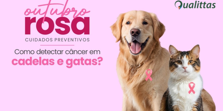 Outubro Rosa Pet: cuidado e prevenção com tumores em cadelas e gatas