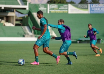Guarani recebe o Novorizontino em mais uma decisão contra a degola