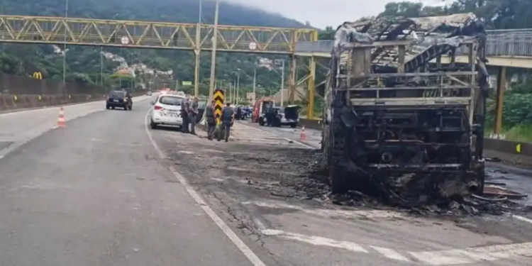 Após morte de torcedor, federação proíbe Mancha Alvi Verde em estádios