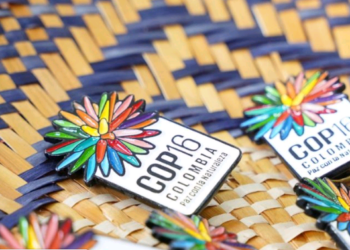 A biodiversidade na mesa de negociações – por José Pedro Martins