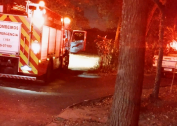 Bosque no Parque Valença tem início de incêndio e fogo é controlado
