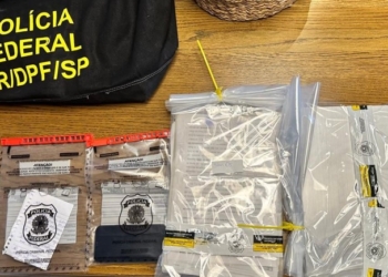 Acusado de liderar esquema de crime ambiental na Amazônia é preso em Campinas