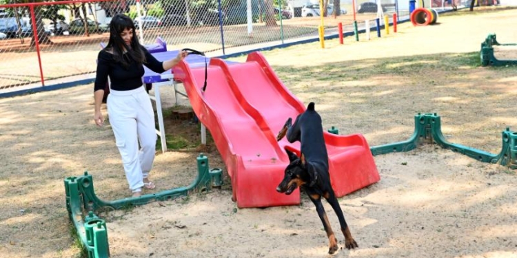 Campinas ganhará mais três unidades do Parcão