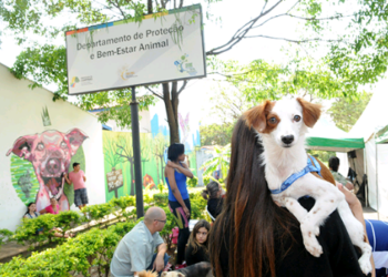 Campinas implementa políticas públicas para cuidados com animais
