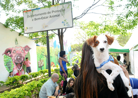 Campinas implementa políticas públicas para cuidados com animais