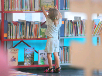 Dia Nacional do Livro: a importância da leitura em um mundo digitalizado