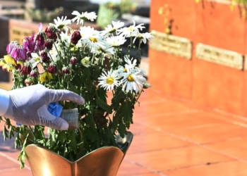 Combate à dengue: Saúde alerta para cuidados durante visita aos cemitérios em Finados