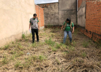 Hortolândia faz busca ativa de criadouros do Aedes aegypti em regiões da cidade