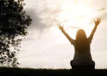 Gratidão é uma emoção maravilhosa – por Luis Norberto Pascoal