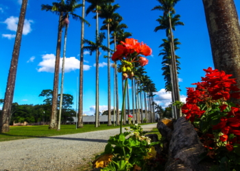 Cinco lugares para visitar em São José dos Campos na Primavera