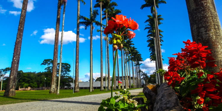 Cinco lugares para visitar em São José dos Campos na Primavera