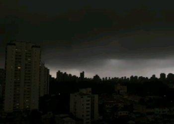 Temporal em SP derruba árvores e deixa moradores sem luz