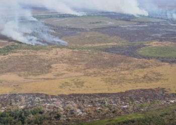 Planeta pode aquecer 3,1ºC a 3,6ºC com emissões de gases, aponta estudo