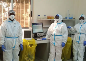 Marburg: entenda vírus com potencial pandêmico que preocupa a África