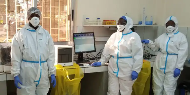 Marburg: entenda vírus com potencial pandêmico que preocupa a África