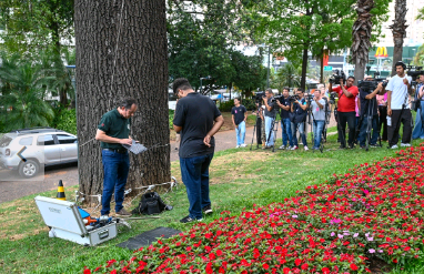 Prefeitura amplia equipes e serviços para gestão da arborização da cidade