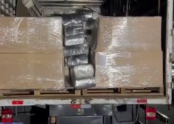 Deic localiza ‘rota do tráfico’ na região e prende homem com 2,5 mil tijolos de maconha