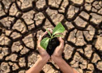 Artigo – A transição da Era do Progresso para a Era da Resiliência: um novo paradigma para a humanidade – por Jurandir Fernandes