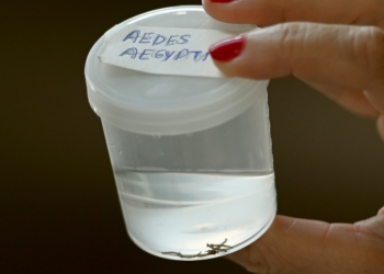 Mutirão contra a dengue percorre Parque Oziel e mais sete bairros