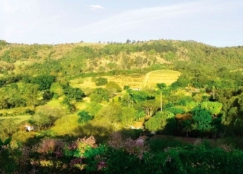 Vereadores de Vinhedo apoiam projeto que protege a Serra dos Cocais