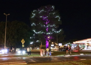 Árvore iluminada acende clima de Natal e encanta em Jaguariúna