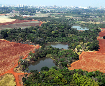 Acordo libera empreendimentos de interesse social em área próxima da APA Campo Grande