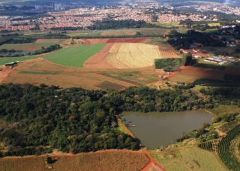Alesp reforça pressão e questiona governo Tarcísio por possível venda de área no IAC