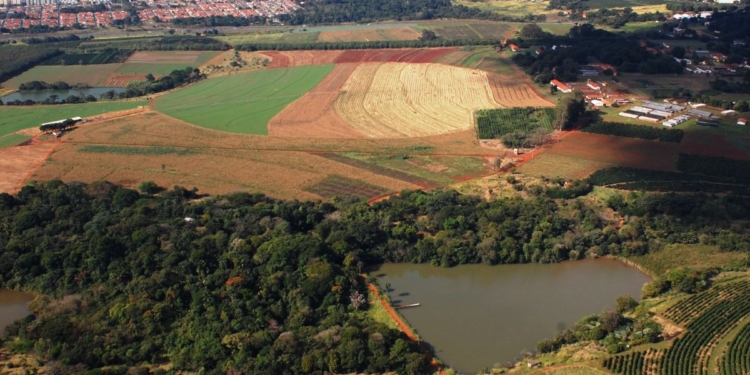 Alesp reforça pressão e questiona governo Tarcísio por possível venda de área no IAC