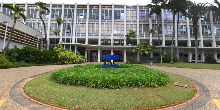 Campinas é sede a partir desta segunda-feira do 1º Encontro de Prefeitos Eleitos