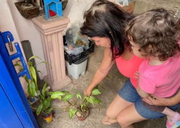 Jaguariúna não pleiteia soro antiescorpiônico, mesmo com óbito e infestação