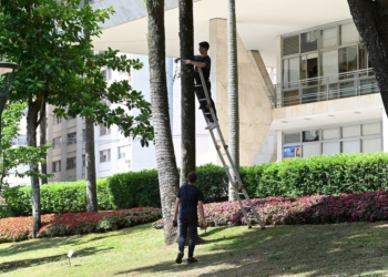 Campinas começa a ganhar luzes de Natal; serão cinco pontos da região central
