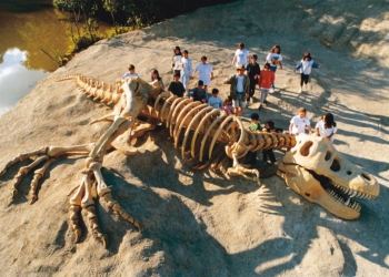 Resort pedagógico aposta em estudo do meio com aventura e diversão