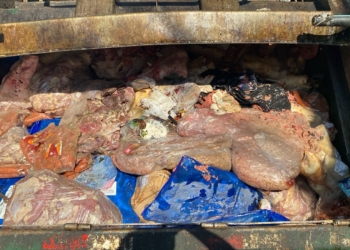 Duas toneladas de carne são apreendidas em açougue no DIC 5