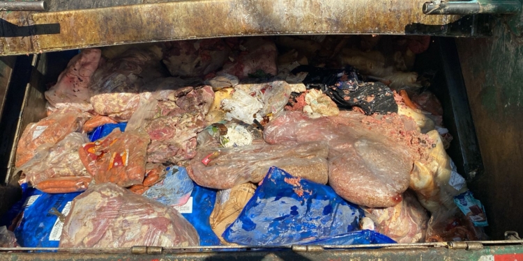 Duas toneladas de carne são apreendidas em açougue no DIC 5