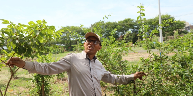 Jornalismo do Hora Campinas está na final do Prêmio Feac em duas categorias