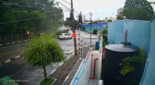 Carro escapa por pouco de ser atingido por galho de árvore
