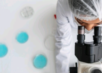 Desenvolver uma imagem justa e precisa das contribuições acadêmicas – por Carmino de Souza