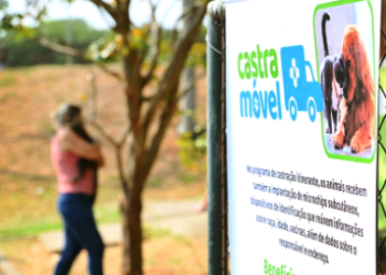 Prefeitura abre agendamento para castração gratuita de cães e gatos na região do São José
