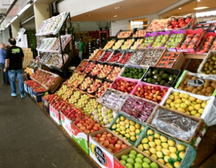 Na Ceasa Campinas, crianças aprendem sobre hábitos alimentares saudáveis