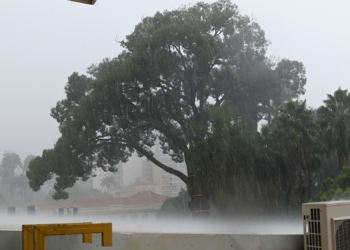 Chuva acumulada supera média do mês; Defesa Civil registra 26 ocorrências