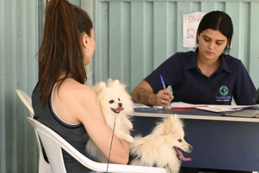 Região do Proença recebe atendimento do Consultório Veterinário Móvel a partir desta segunda