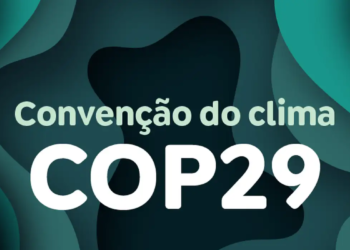 Ambientalistas dizem que acordo da COP29 é insuficiente