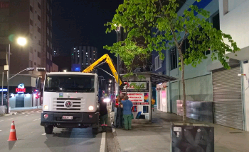 Novo paisagismo começa a ser implantado na  Avenida Francisco Glicério 